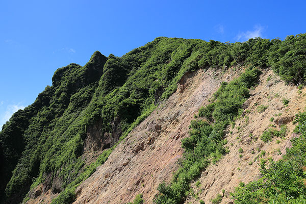 山頂方面の眺め