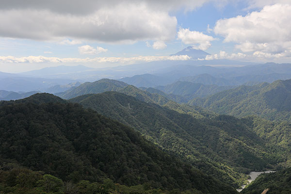 塔ノ岳からの富士山