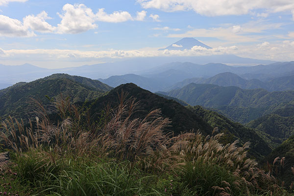 鍋割山からの富士山