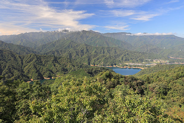 東丹沢の山並み