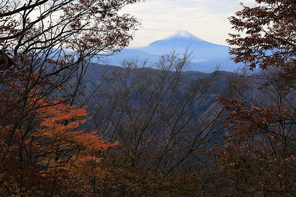 富士山