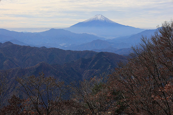 大沢山からの富士
