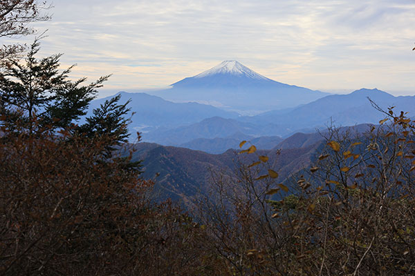 富士山