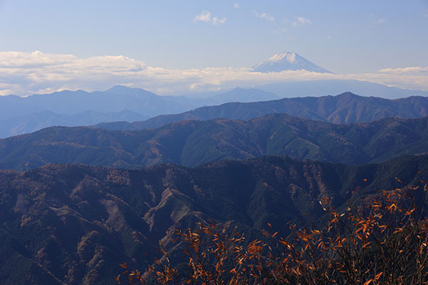 大岳山からの富士
