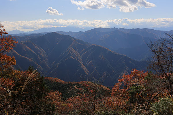 馬頭刈山からの眺め