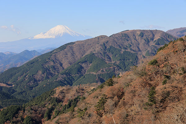 富士見台からの富士