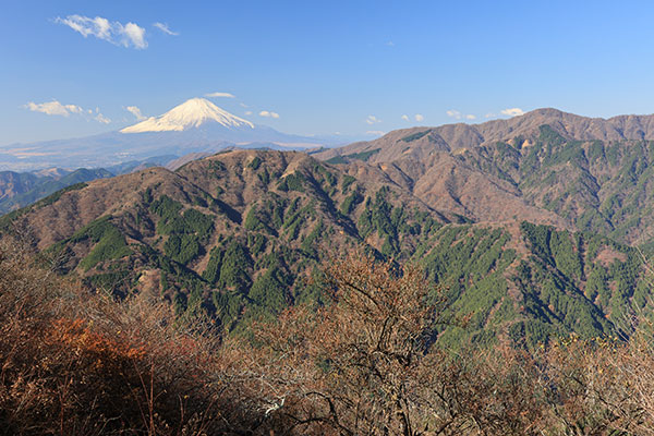 丹沢表尾根と富士山