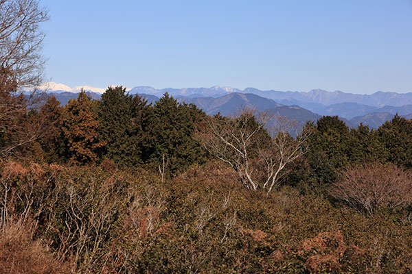 南アルプスの眺め