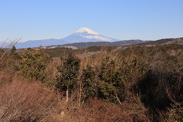 富士山