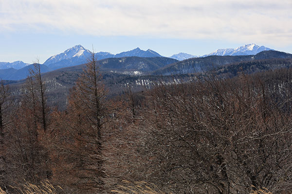 甲斐駒ヶ岳、鋸岳、間ノ岳、仙丈岳