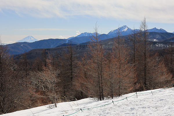 南アルプスと富士山