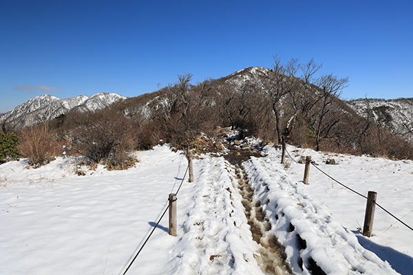 塔ノ岳と蛭ヶ岳方面の眺め