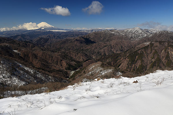 塔ノ岳からの富士