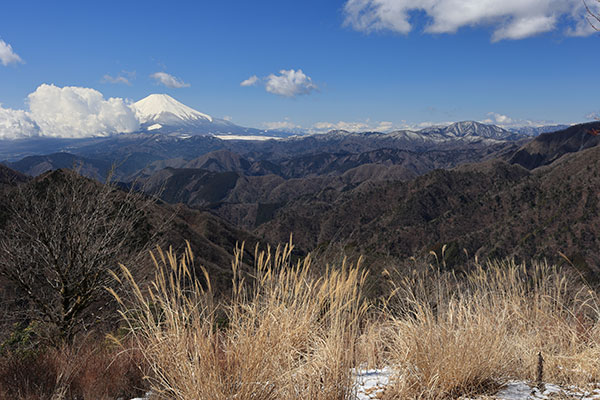 鍋割山からの富士