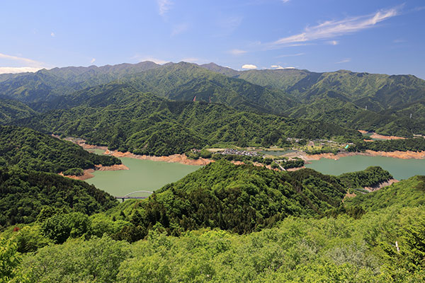 東丹沢の山並み