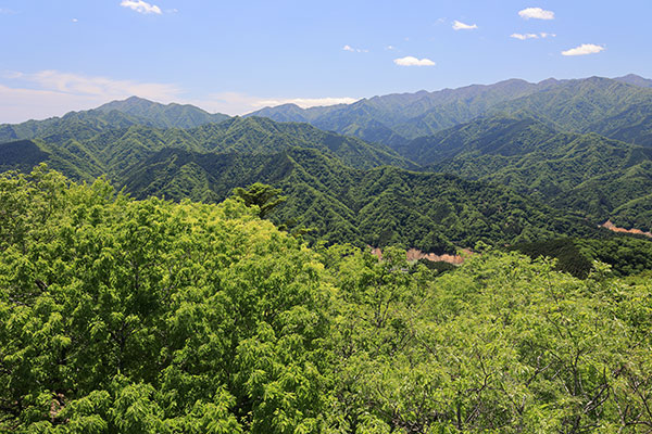 大山と東丹沢の山並み