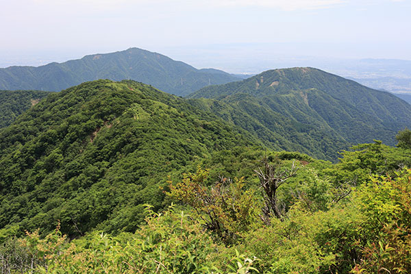 表尾根と大山