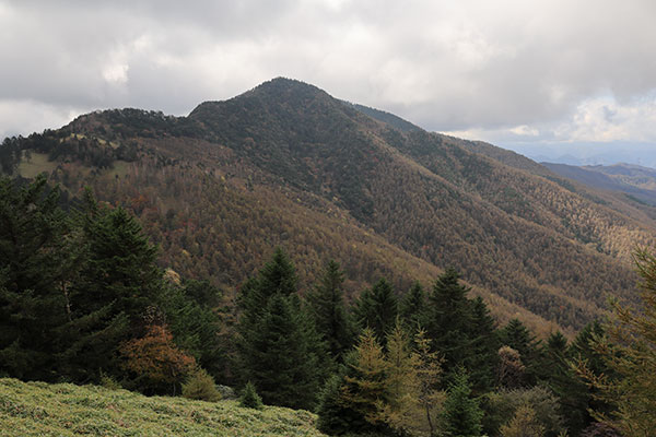 小金沢山
