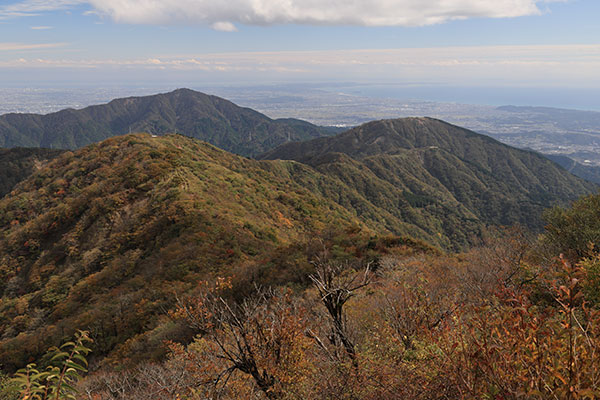 表尾根と大山