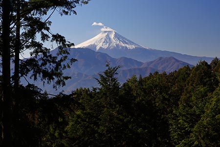 富士山（九鬼山から）