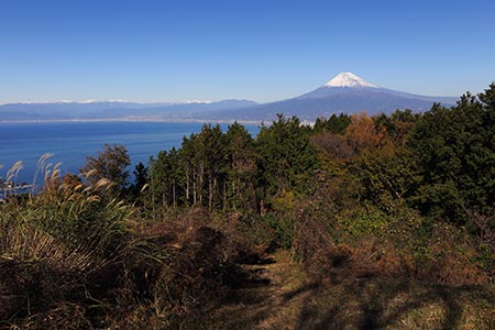 発端丈山からの富士山